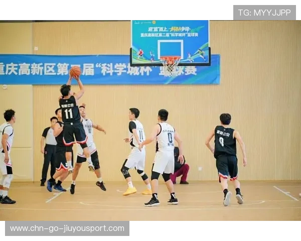 篮球比赛中的现场观众体验提升策略研究，篮球场上观众的表现